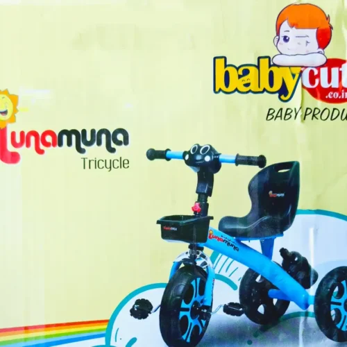 Baby Tricycle for Kids