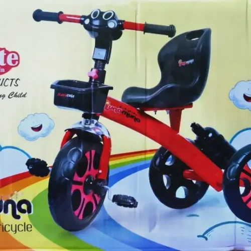 Baby Tricycle for Kids