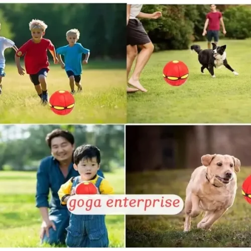 Flying Saucer Ball Toy
